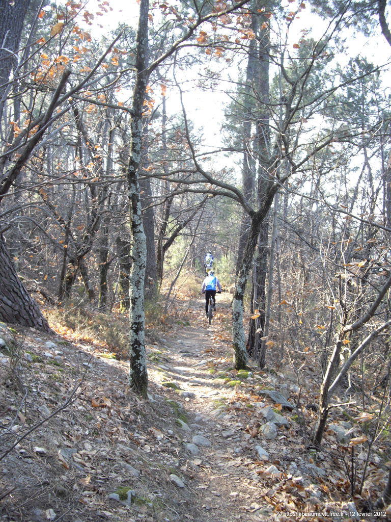 20120212_120