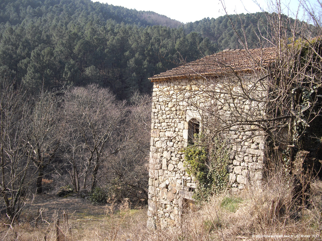 20120212_156