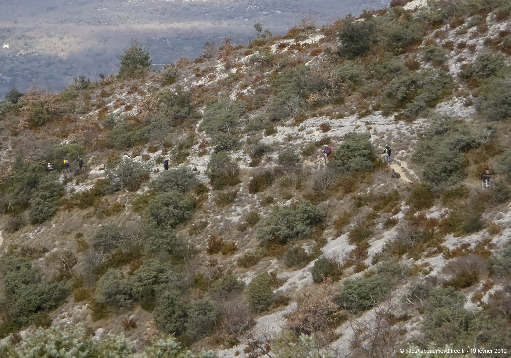 20120219_181