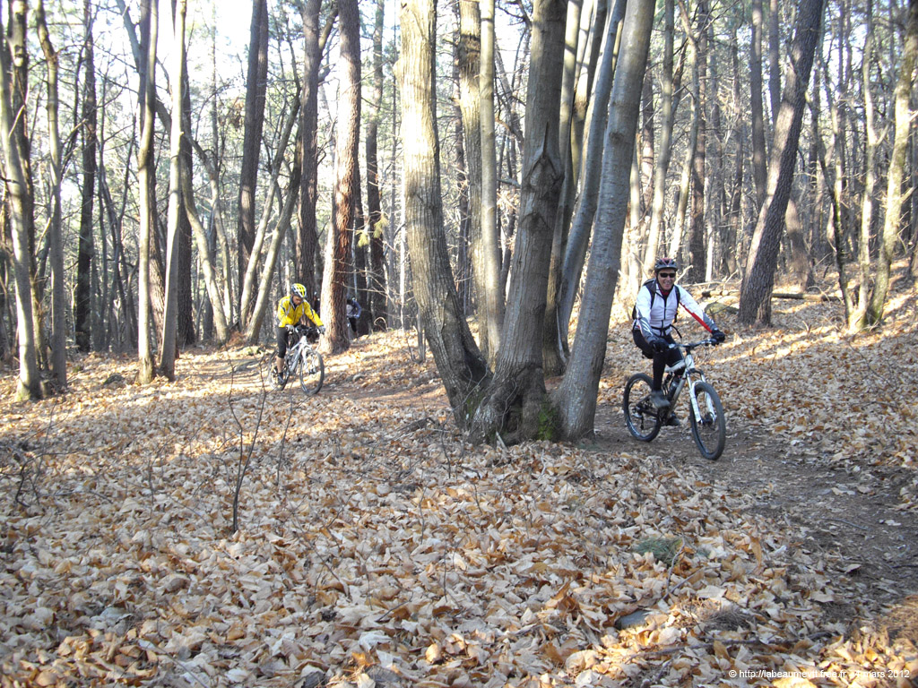 20120304_017