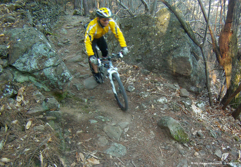 20120304_042