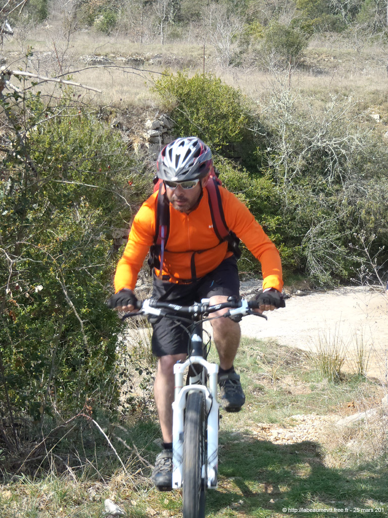 20120325_253