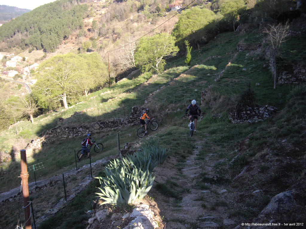20120401_v037