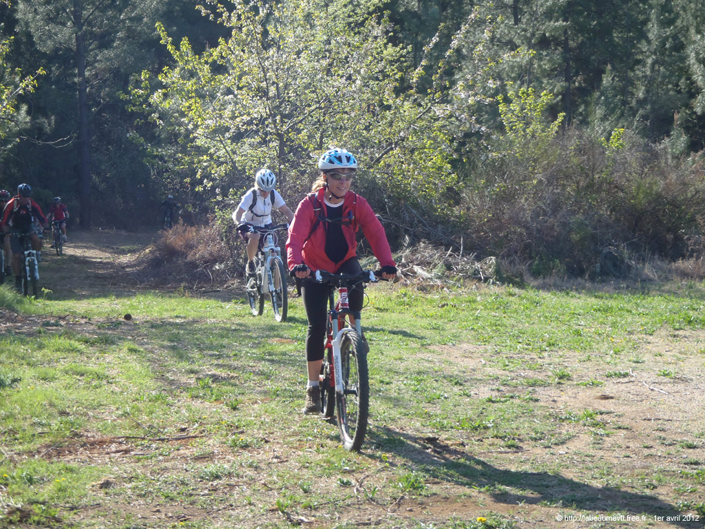 20120401_v060
