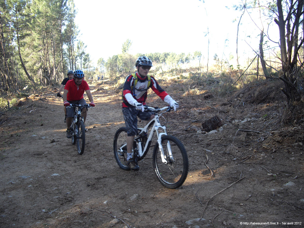 20120401_v073