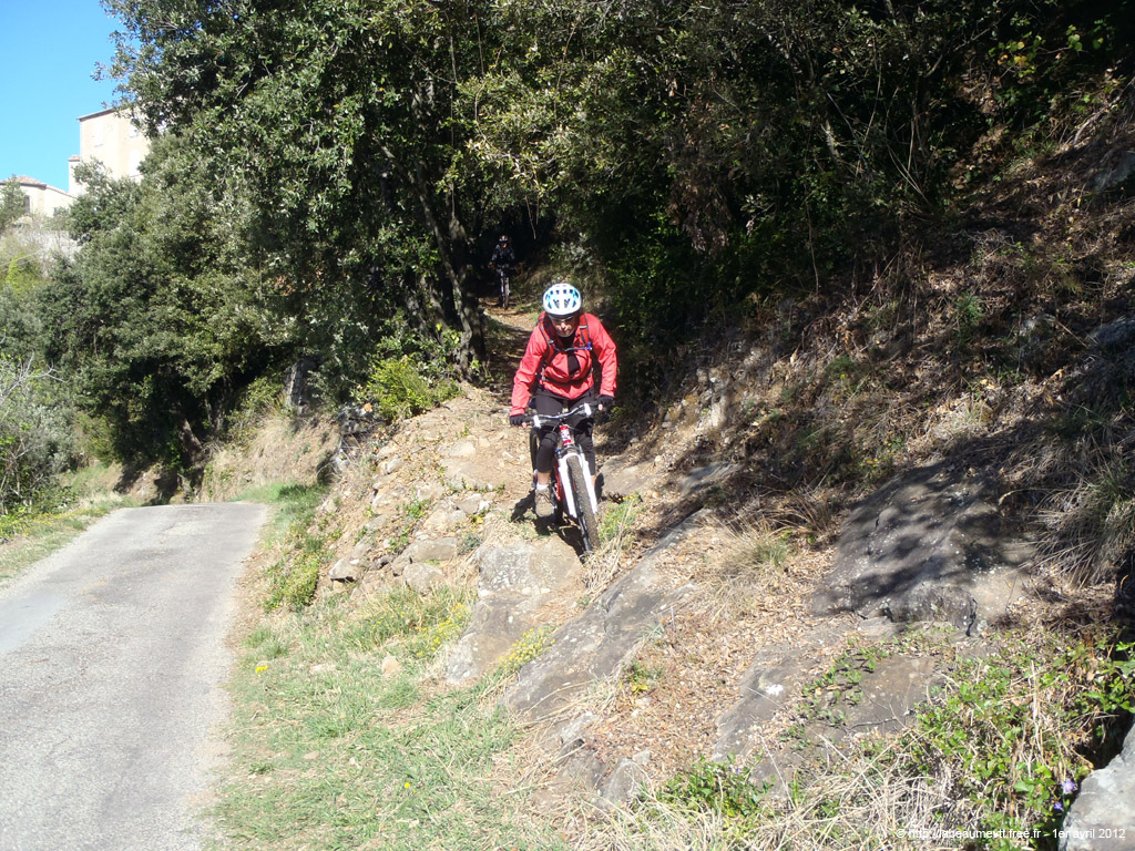 20120401_v117