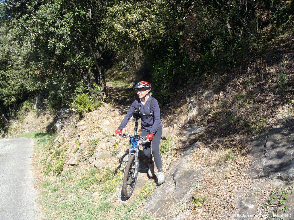 20120401_v120