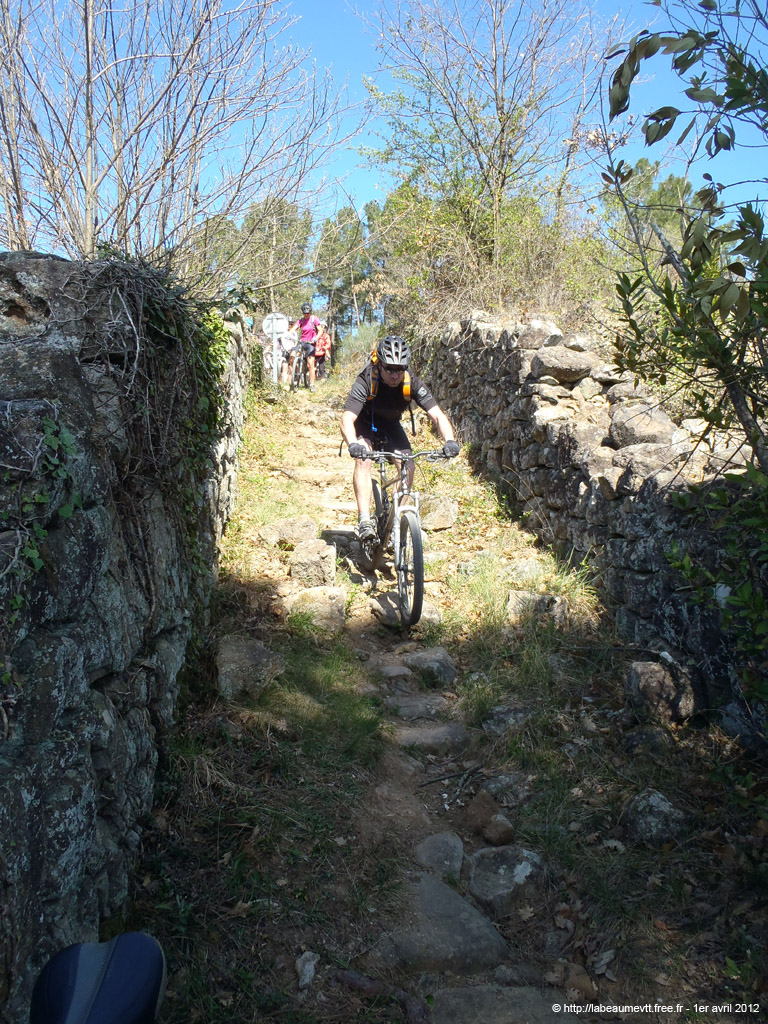 20120401_v268