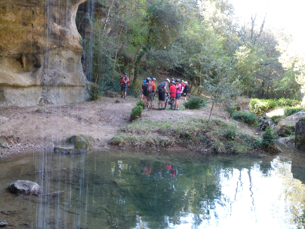 20120401_v339