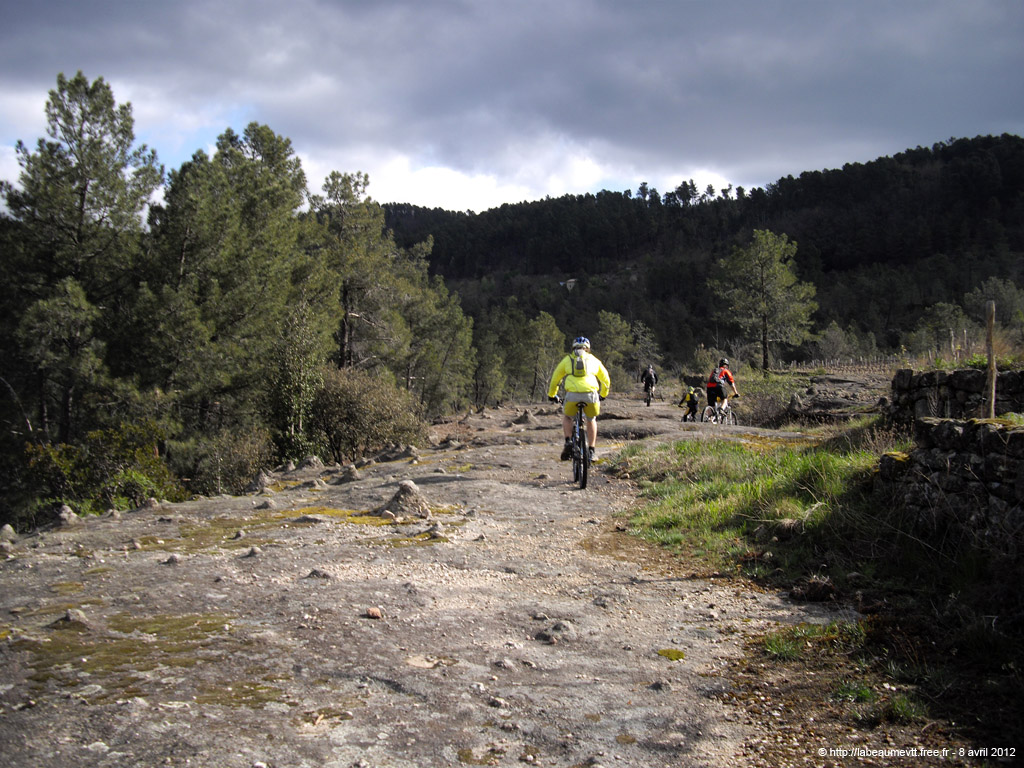 20120408_077