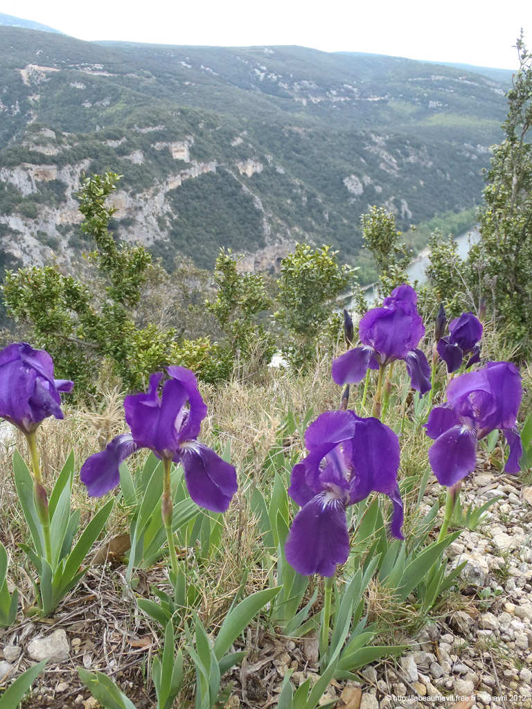 20120415_150