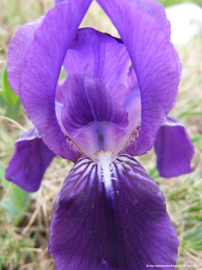 20120415_152