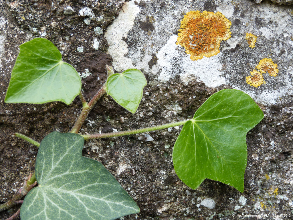 20120415_163