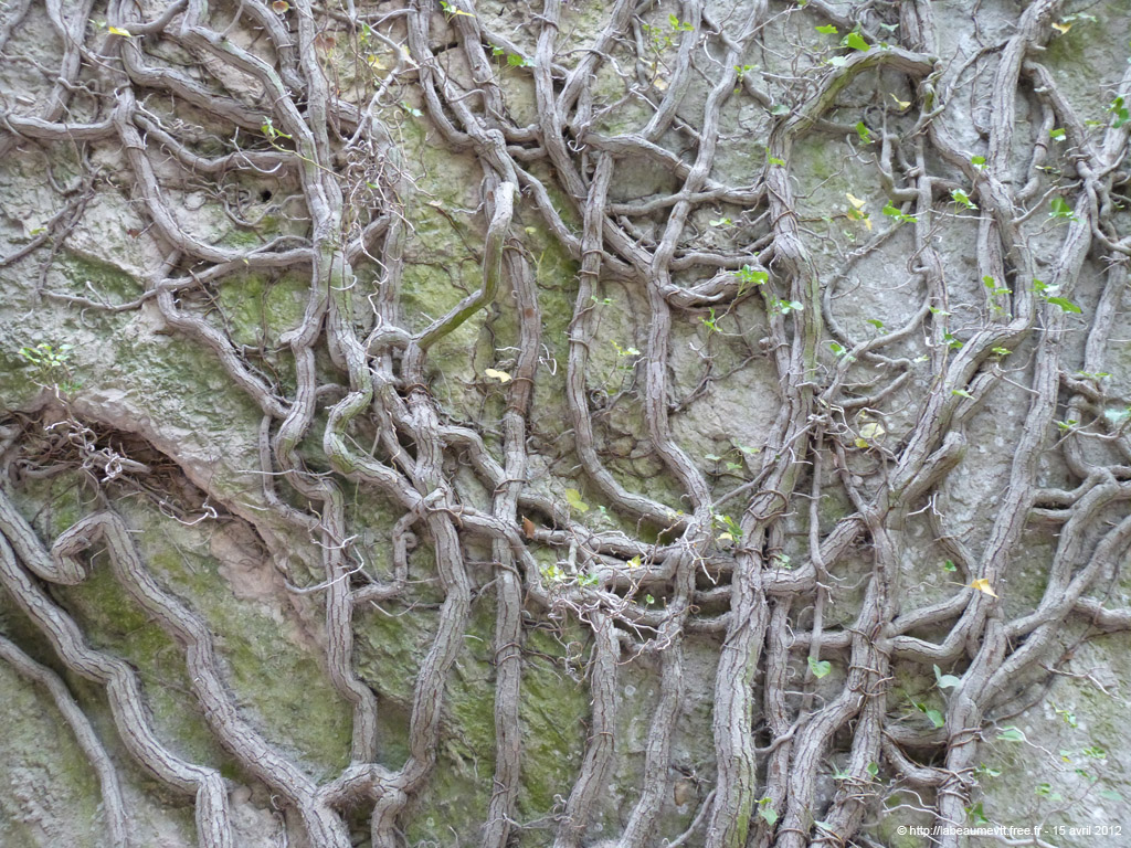 20120415_231