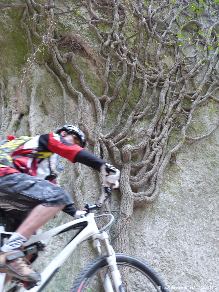 20120415_233