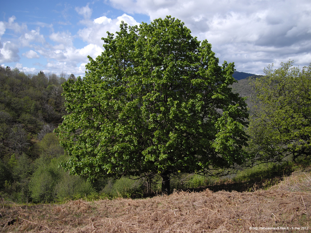 20120506_090