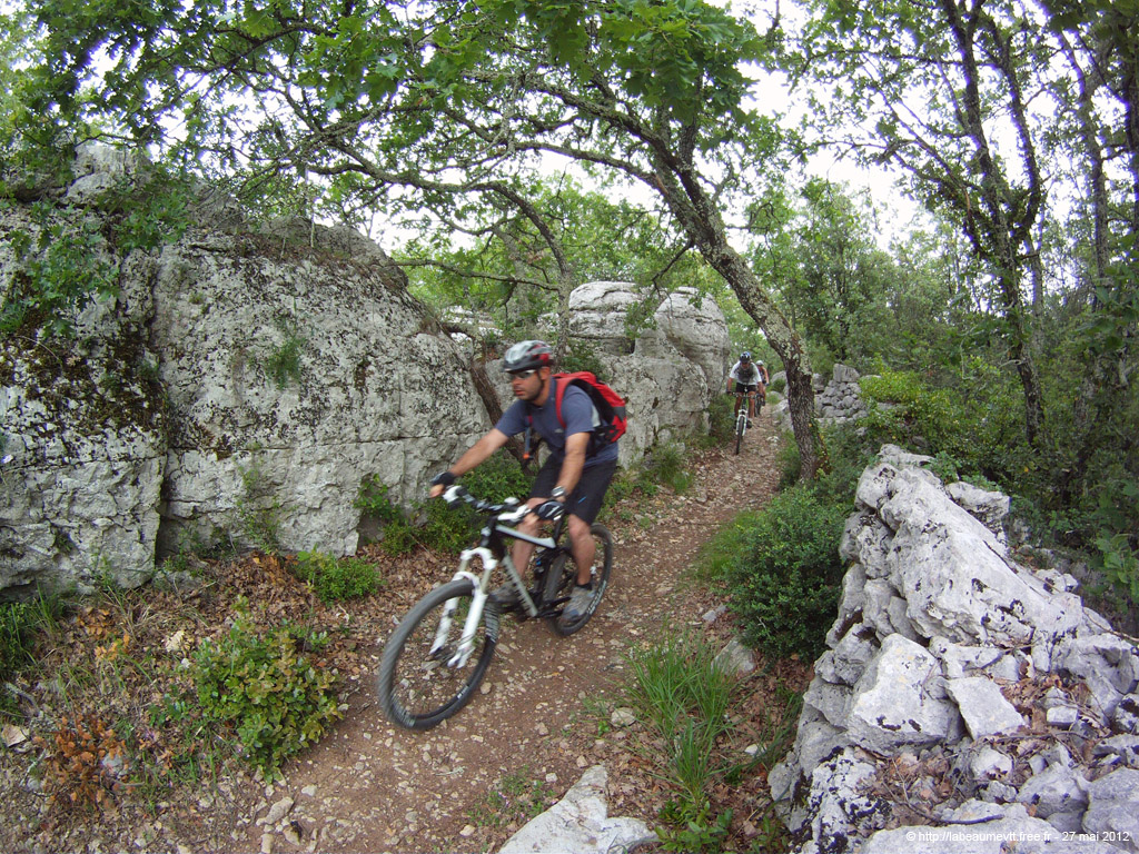 20120527_010