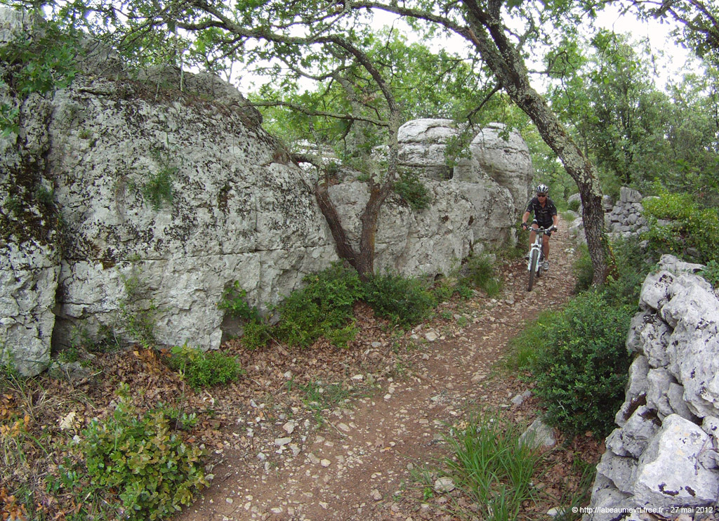 20120527_013