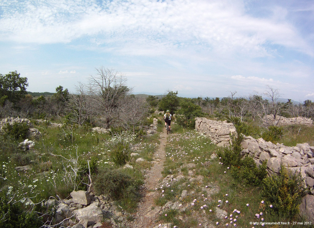 20120527_163