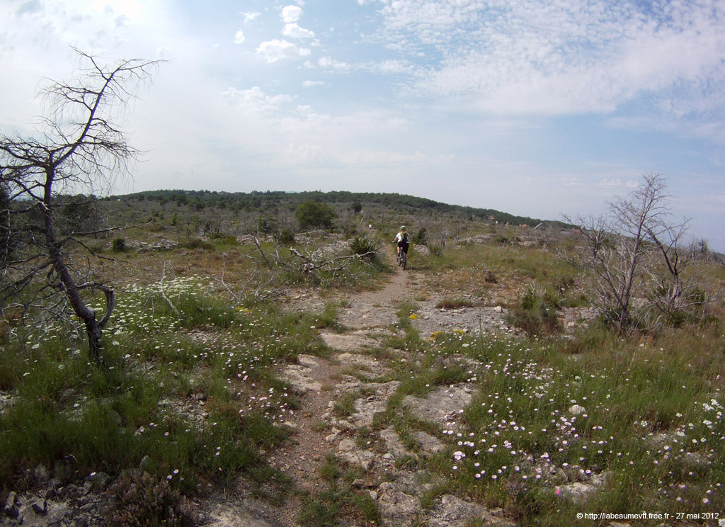 20120527_165