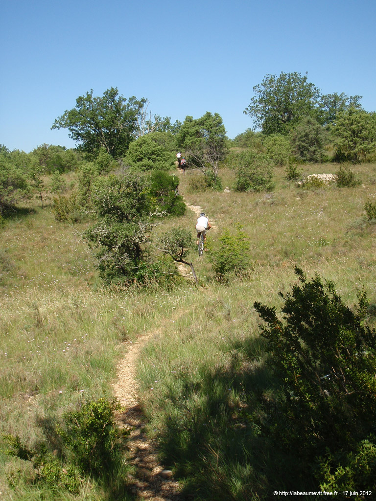 20120617_133