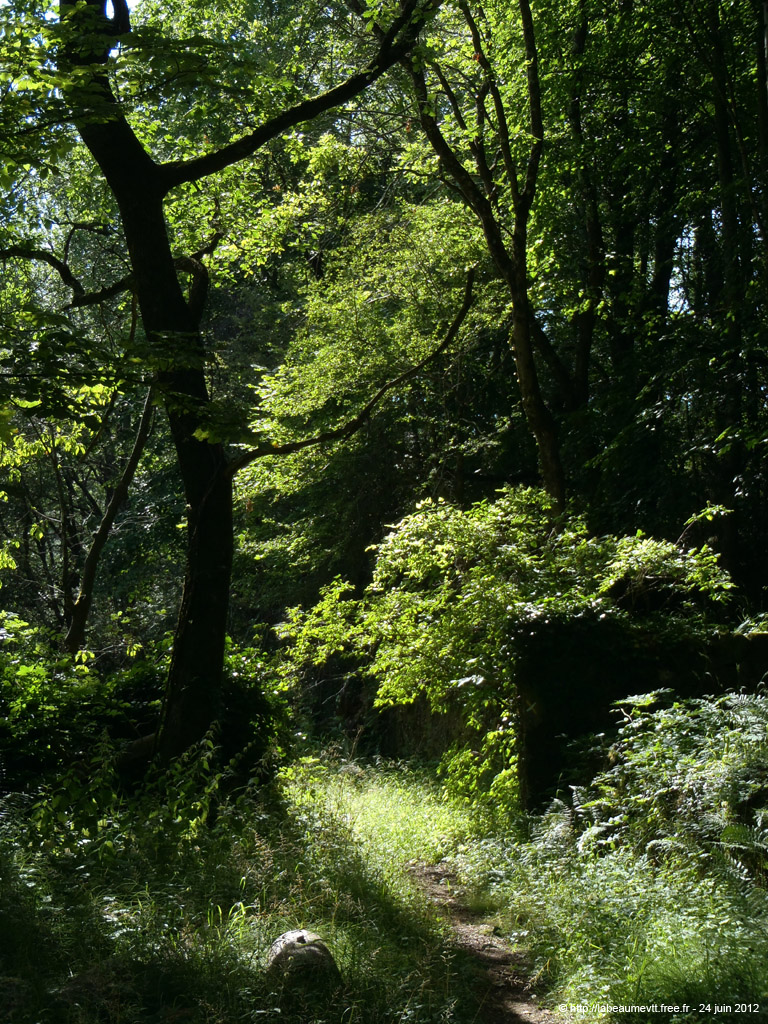 20120624_107