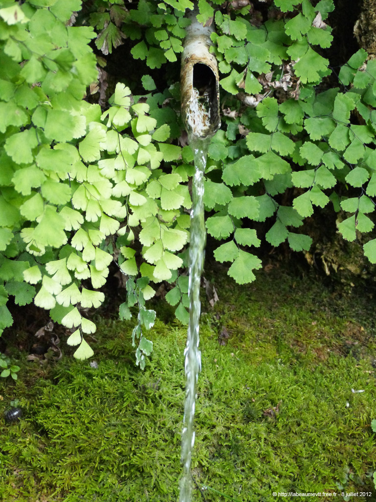 20120708_057
