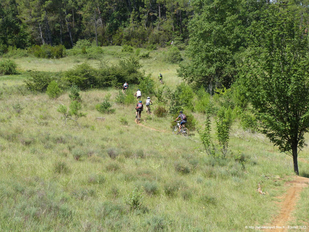 20120708_177