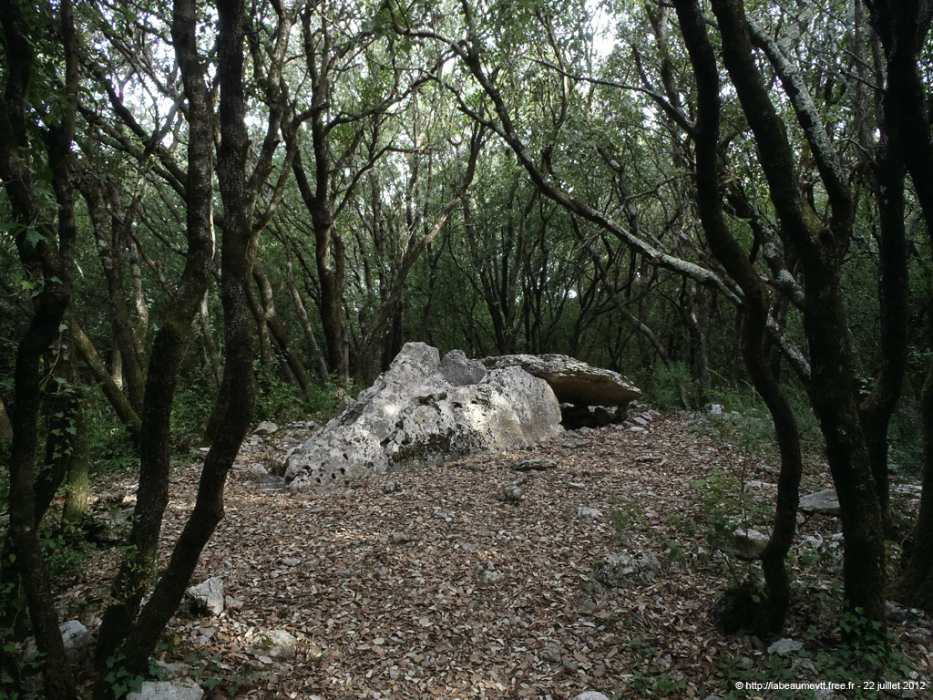 20120722_044