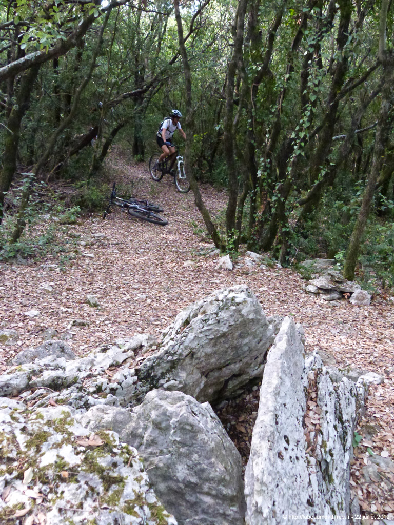 20120722_046