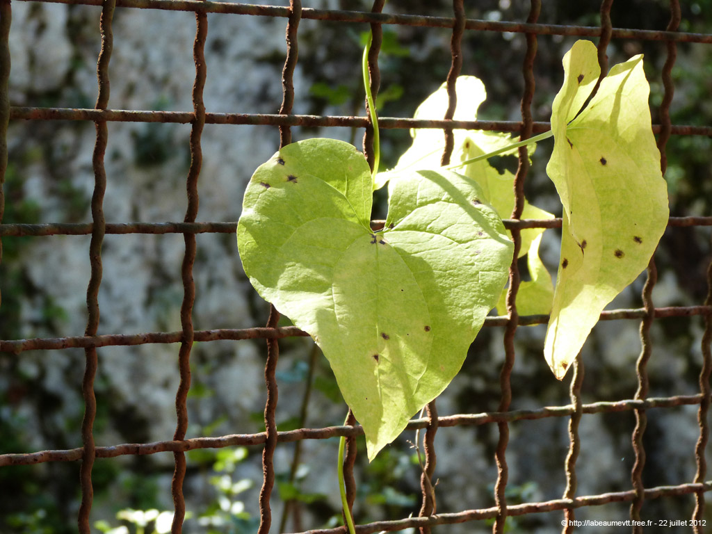 20120722_202