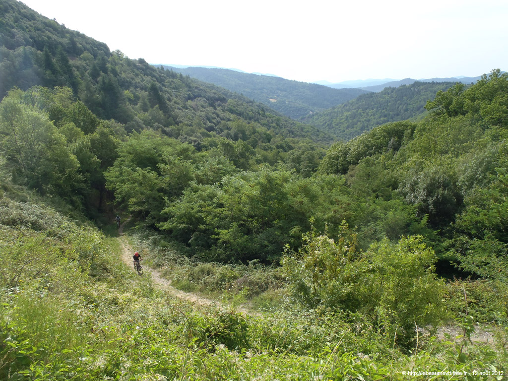 20120812_051