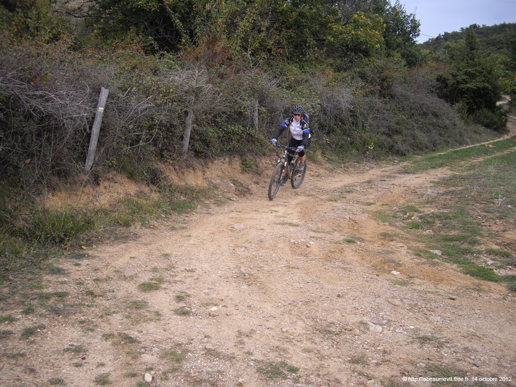 20121014p_45