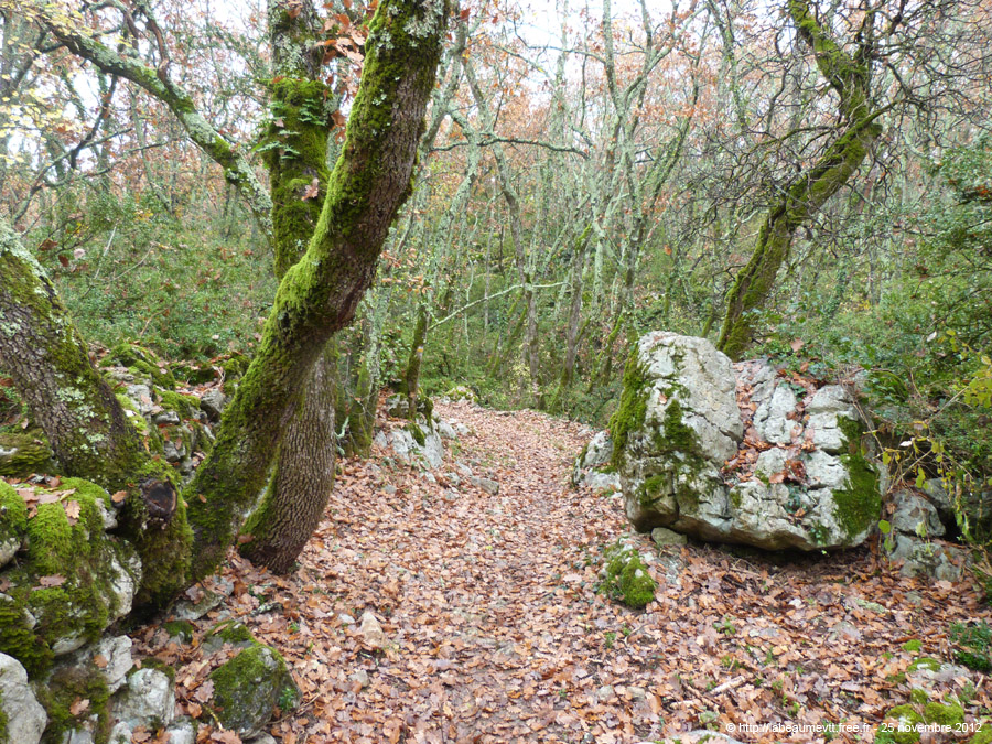 20121125_073