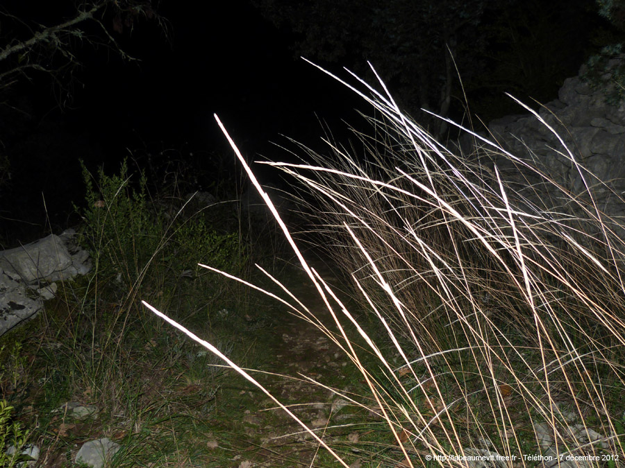 20121207_44