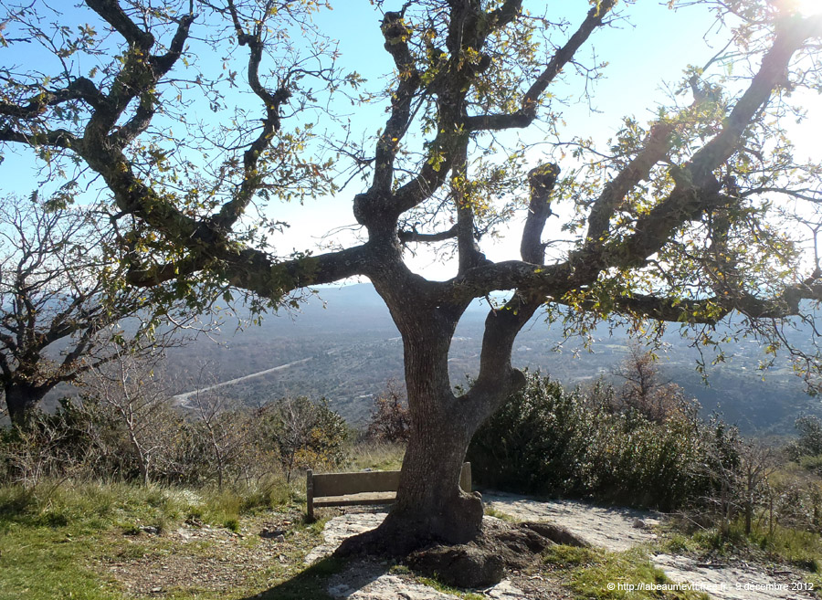 20121209_110