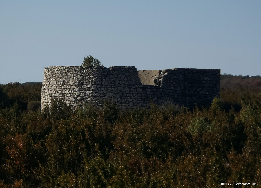 20121223r_50