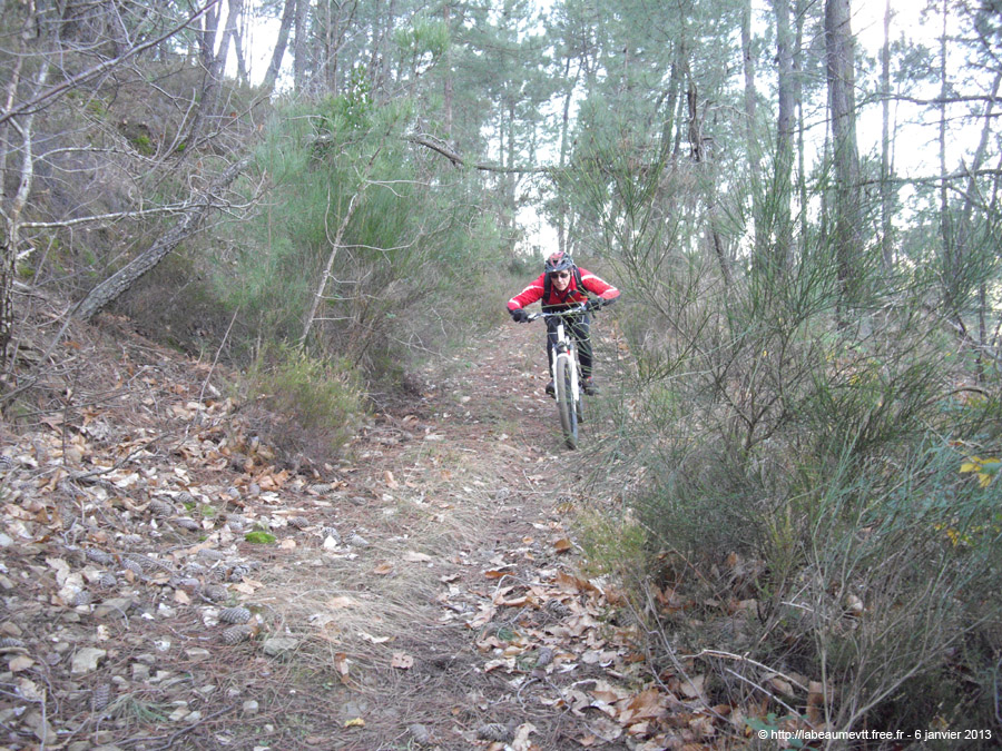 20130106_050