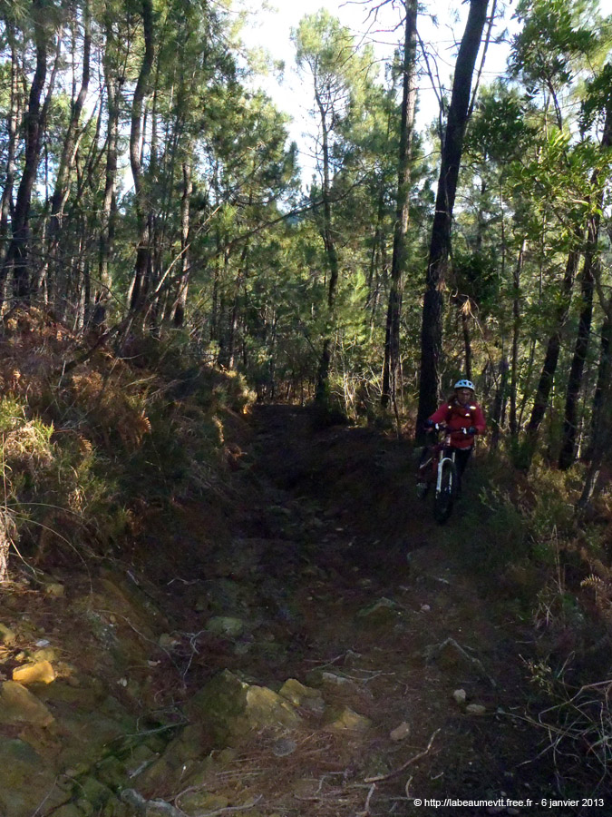 20130106_068