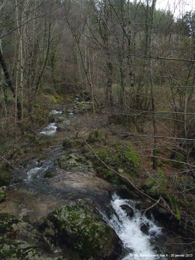 20130130_057