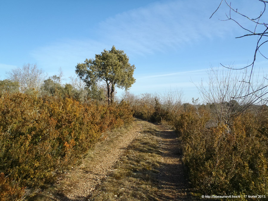 20130217_009
