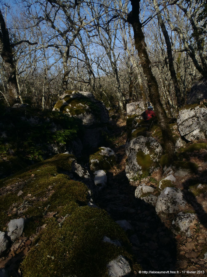 20130217_039