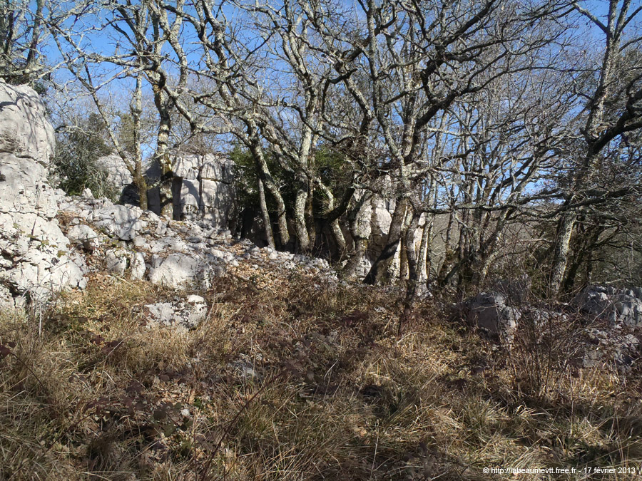 20130217_041