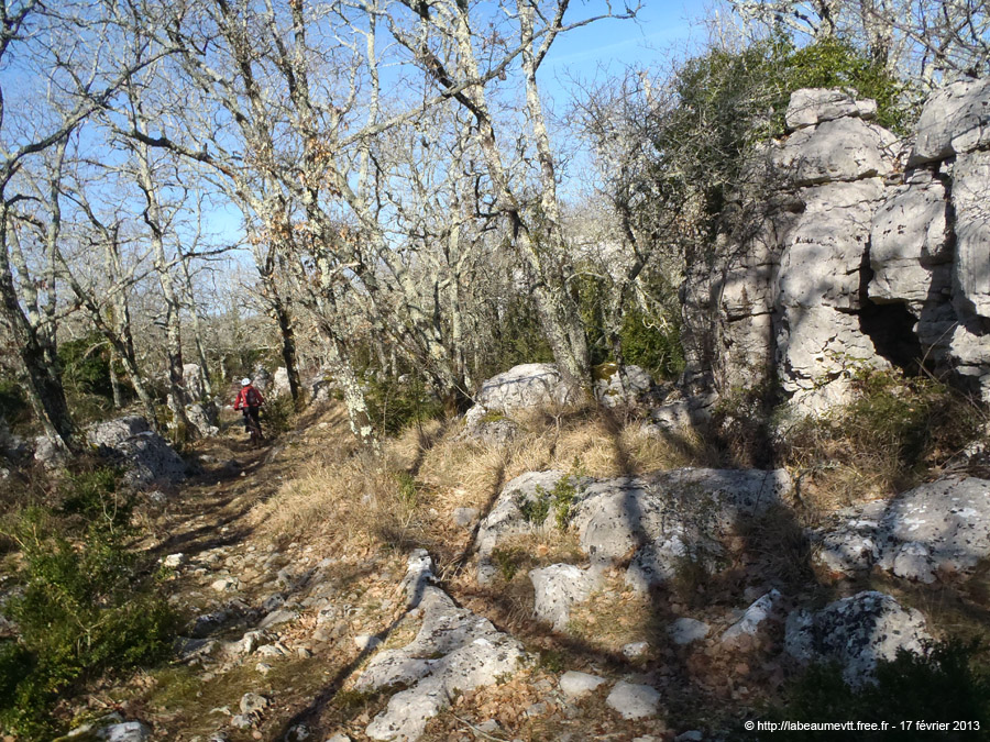 20130217_047