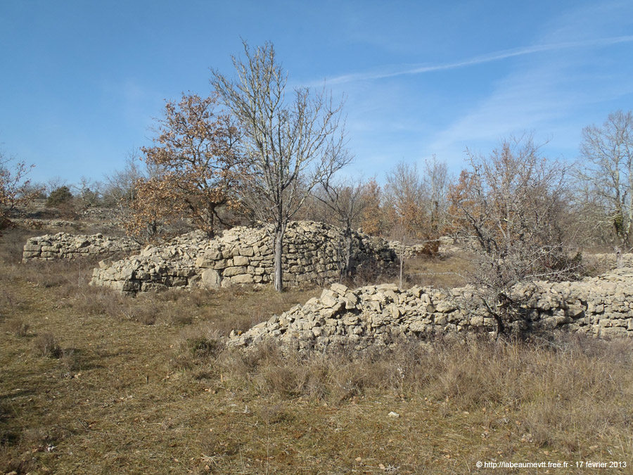 20130217_098