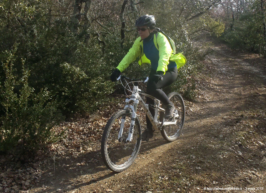 20130303_088