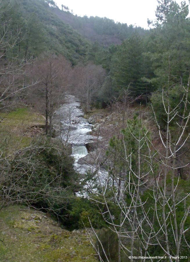 20130309_061