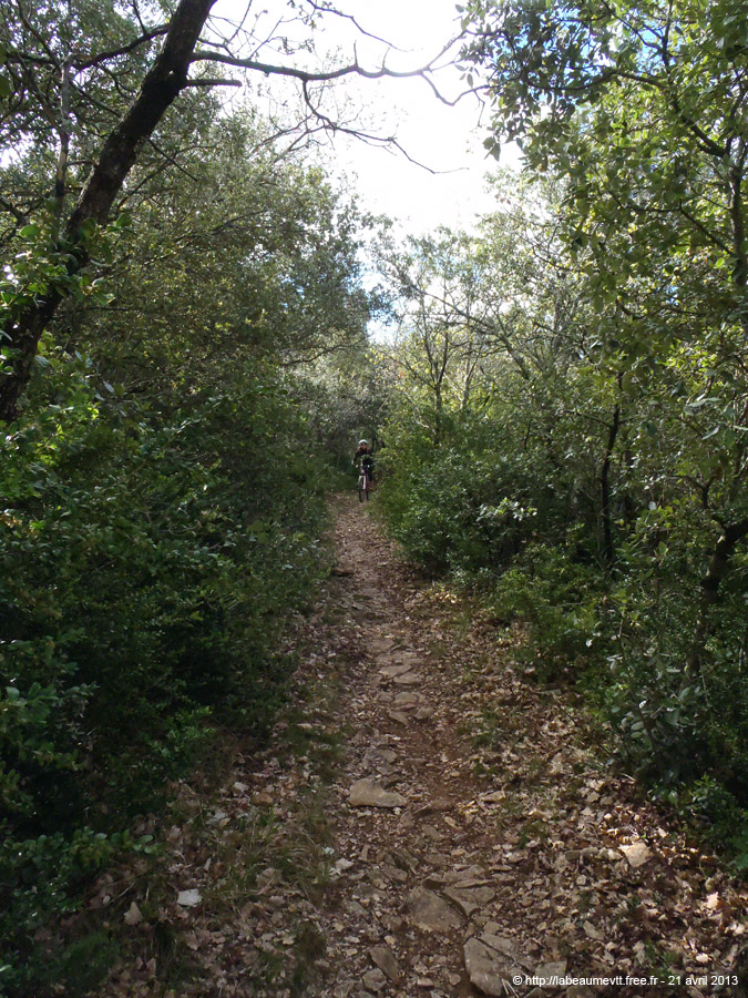 20130421_101