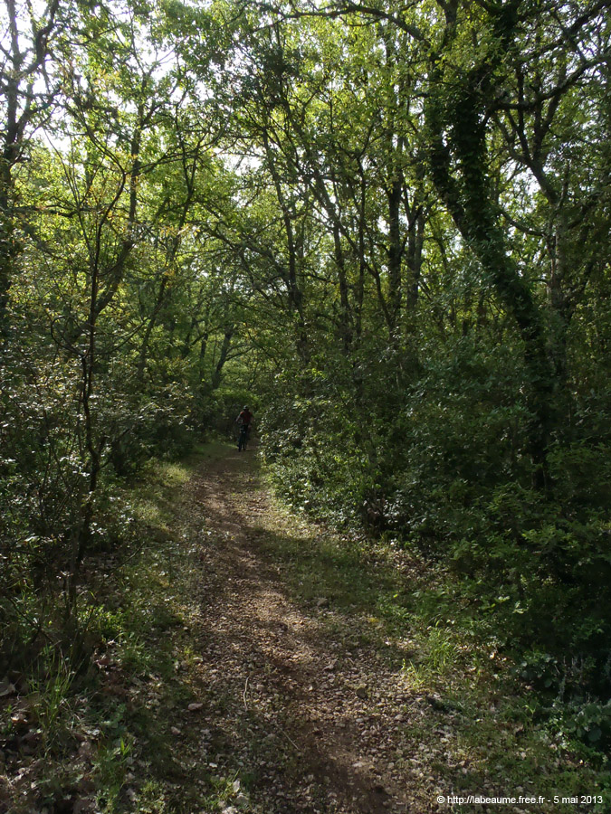 20130505_135
