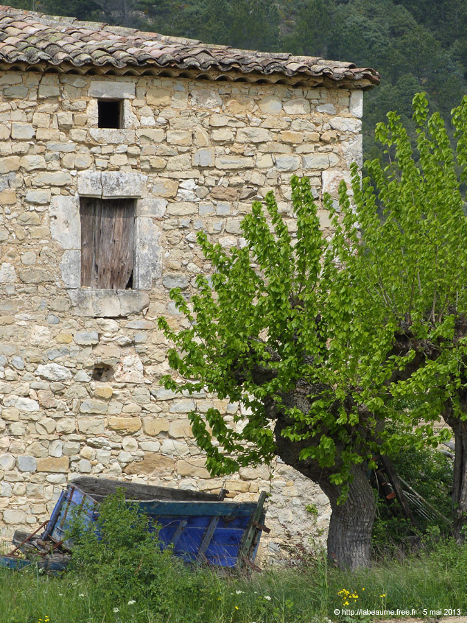 20130505_292